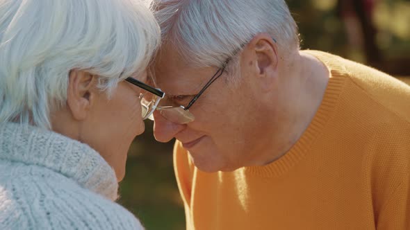 Happy Old Couple Dancing at Autumn Park. Senior Man Flirting with Elderly Woman. Forehead To