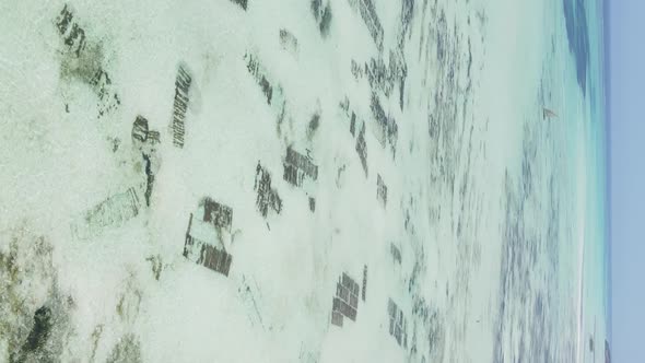 Vertical Video of the Ocean Near the Coast of Zanzibar Tanzania Aerial View