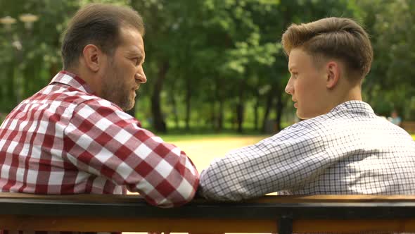 Teenage Son Talking With Father on Bench in Park, Dad Supporting His Child