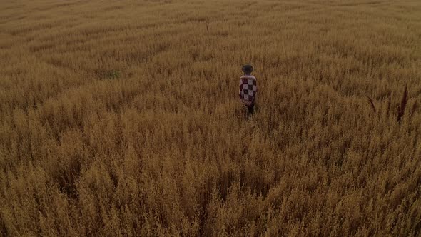 Aerial view. Alone young lady in long dress walking in oat, wheat field. Sunset. Rural landscape.