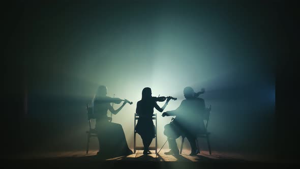 Trio of Professional Musicians Perform Classical Works on Violin Cello and Double Bass