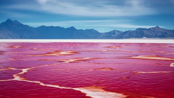 Beautiful View of Pink Lake on Summer Day