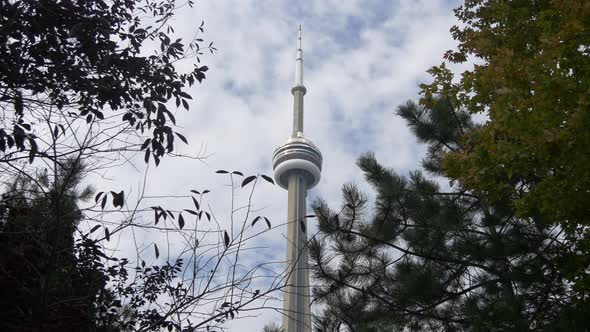 CN Tower and branches