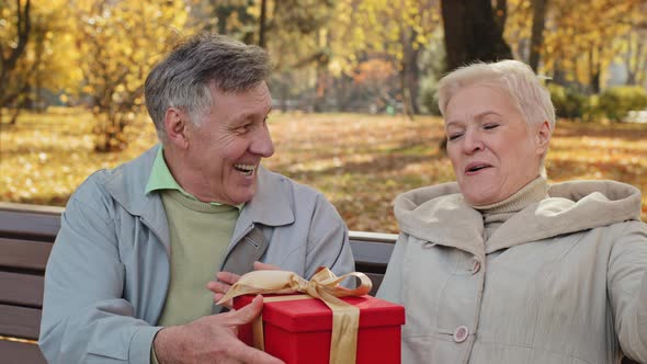 Mature Man Gives Gift to Beloved Wife on Birthday Elderly Woman Happily Laughs Positive Married