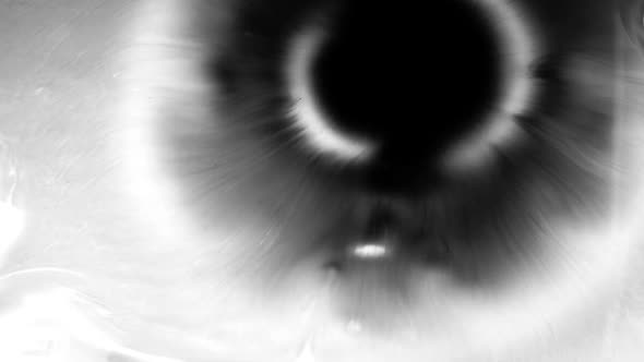 Black Ink Drops in Water alt