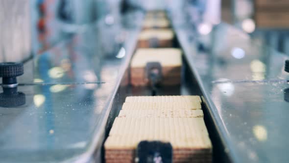 Waffle Bars are Getting Transported at the Confectionery Factory