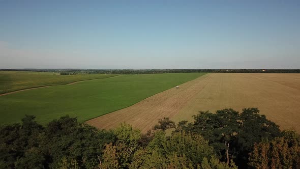 Tractor And Wheat Harvest