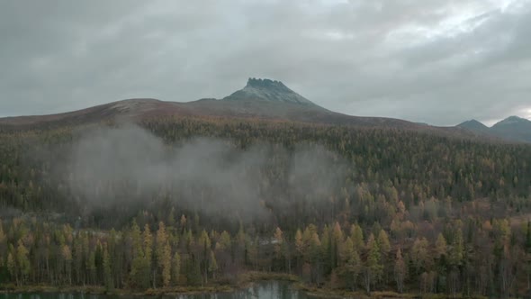 Top View of Lake in Forest Part on Background of Mountain