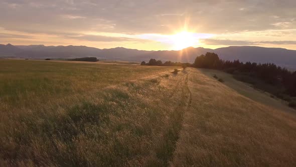 Golden sunset over meadow