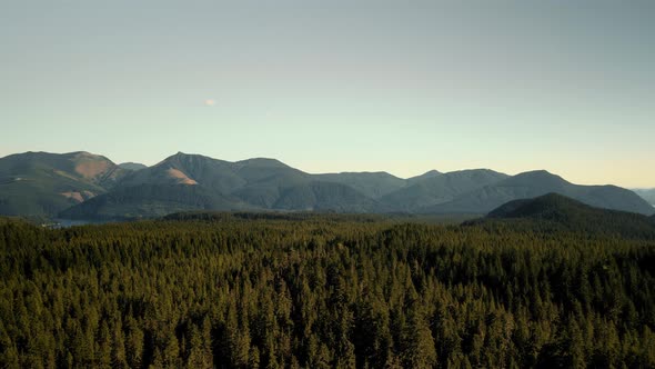 Bird'seye View of the Forest and Mountains