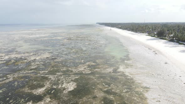 Shore of Zanzibar Island Tanzania at Low Tide Slow Motion