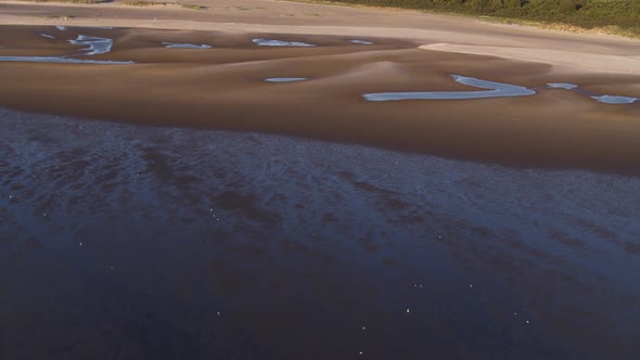 Drone revealing lush green dune forest along Oostvoorne bay beach in sunset glow