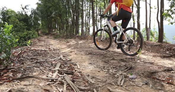 Two women cycling on mountain top forest trail