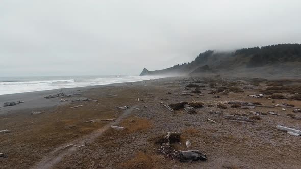 View of beach,debris,waves, fog and mountain at Sharp Point, Dry Lagoon State Park, California, USA