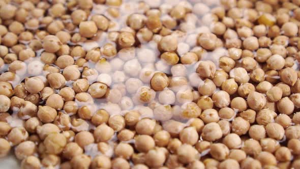 Falling dry chickpea beans into a pile in water in slow motion. Cooking and soaking legumes