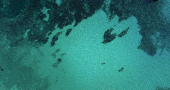 Aerial Top Down View of Blue Azure Turquoise Sea Water Surface