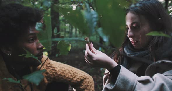 Man photographs mushroom in forest