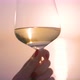 Hand Holding Wine Glass Against the Sea - VideoHive Item for Sale