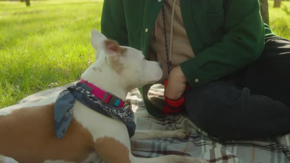 Man Sitting in Park and Giving Treats to Dog