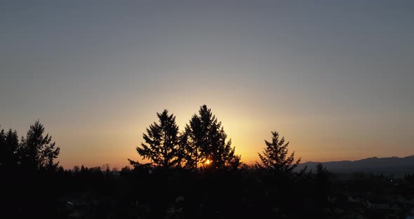 Aerial shot weaving through silhouetted trees with a warm sunrise in the distance.