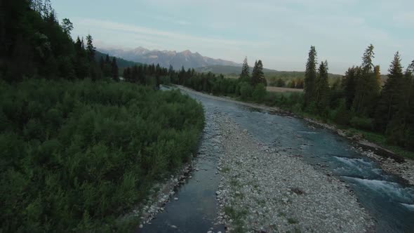 Aerial View of Mountain Brook or River Flowing in the Green Valley