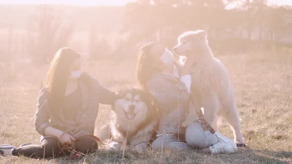 Pretty Young Girls Are Walking with Cute Dogs in the Field