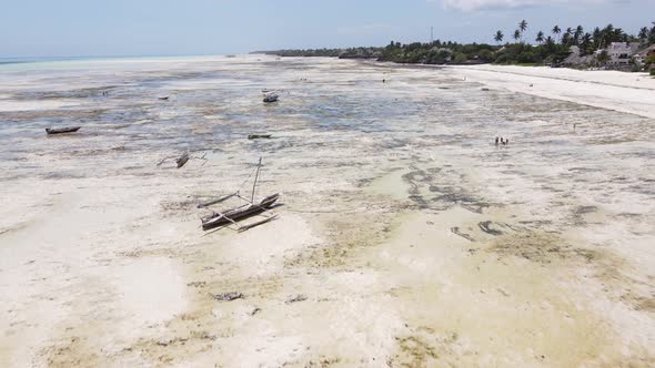 Low Tide in the Ocean Near the Coast of Zanzibar Island Tanzania