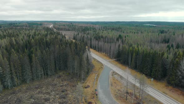 Aerial, drone shot, flying towards a car on a  road, between pine trees and leafless, birch forest,