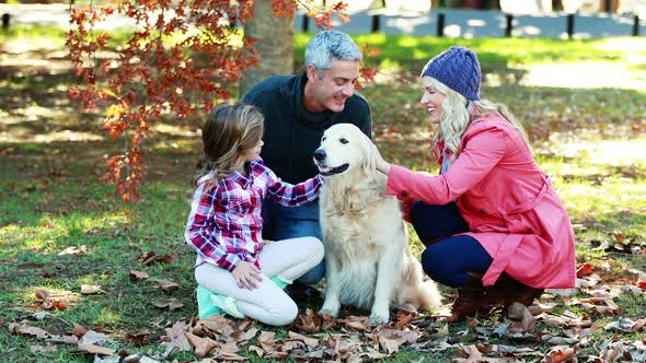 Family sitting in the park with their dog