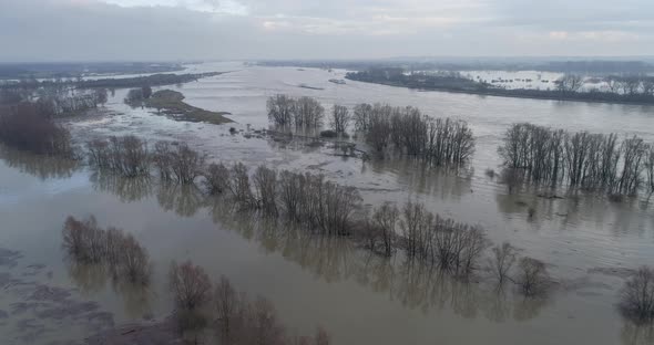 Aerial view of trees in high water in the river Waal, Gelderland, Netherlands.