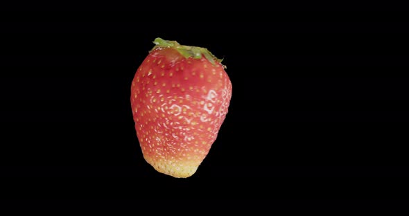 Red Strawberry Rotates Alpha Channel