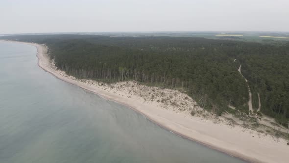 Baltic Sea Coast Sandy Beaches and Forest