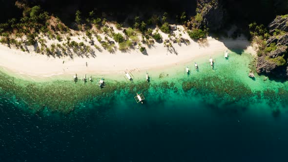 Seascape Tropical Beach Sea