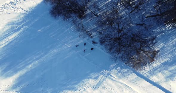 Group of Skiers Going Up the Hill