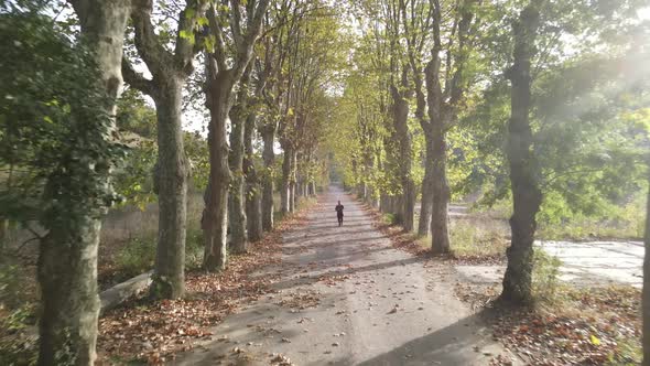 Autumn Park Running