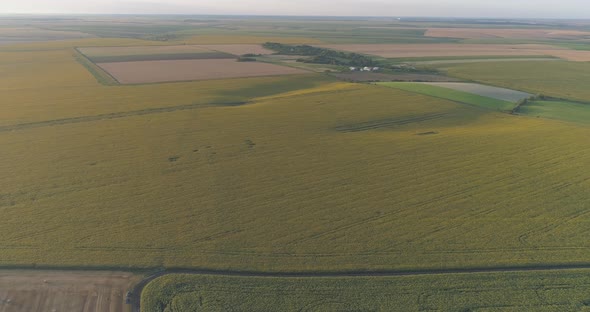 Aerial view of cultivated lands