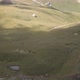 Time Lapse of Herd of Cows Grazing on a Mountain Pasture - VideoHive Item for Sale