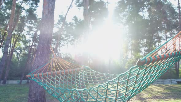 A lone hammock in the woods. A place to relax and unwind.