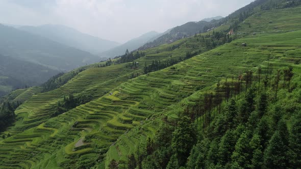 Drone aerail view of beautiful terrace rice field in China