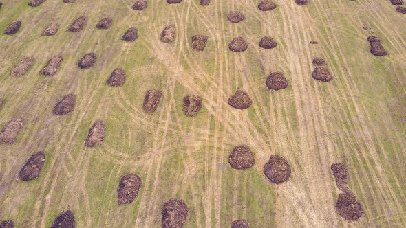 Manure Heaps in a Farm Field Lie in Even Rows Aerial View