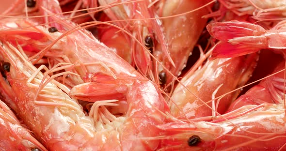 Cooked fresh shrimp