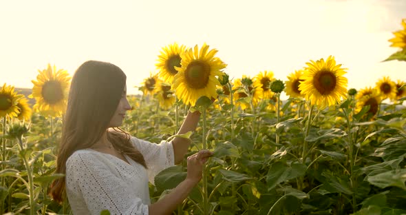 Girl Caress Yellow Flower at the Meadow at Sunny Day