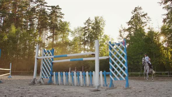 Show Jumping on a Sunny Day