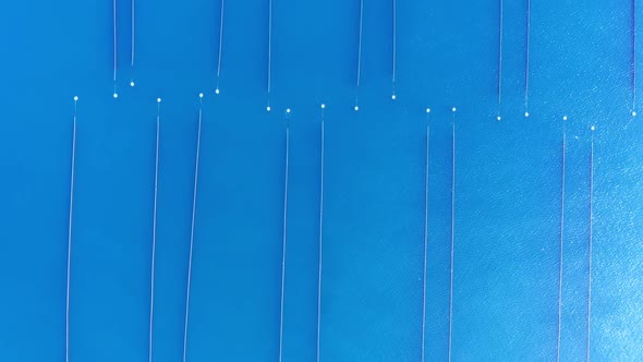 Aerial view of a mussel farms in the sea