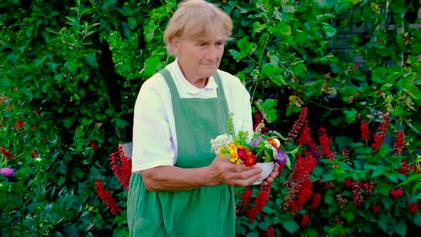 Woman Collects Medicinal Herbs and Flowers