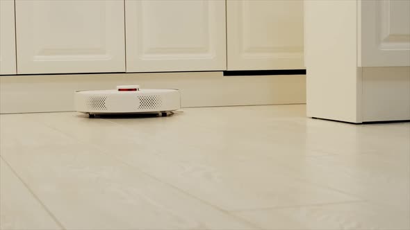 Robot Vacuum Cleaner Vacuums the House
