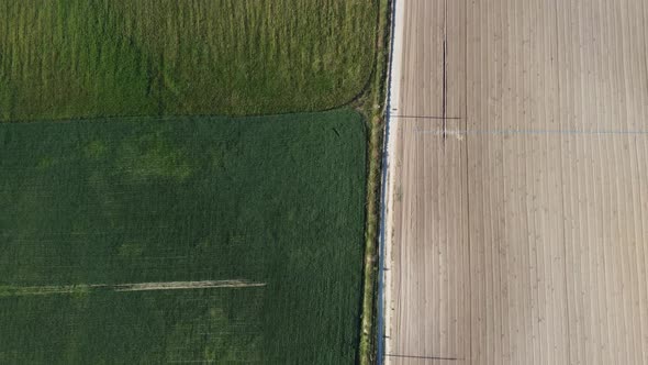 Aerial View on Green Wheat Field in Countryside