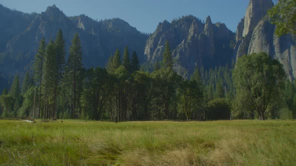 Forest Trees and Granite Cliffs at Yosemite Park on a Sunny Day