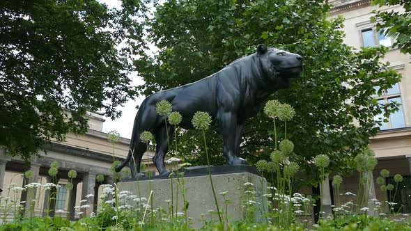 Berlin City - Museum Island - Lion Statue