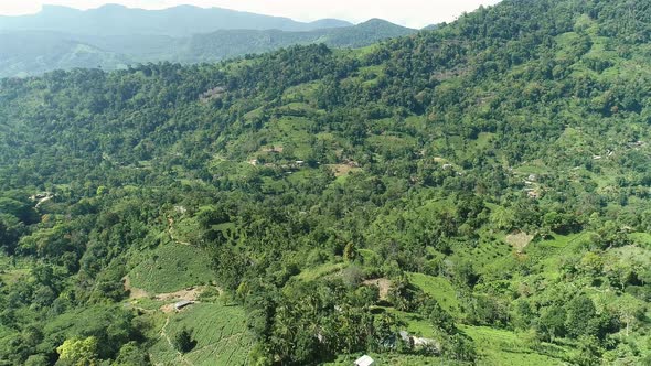 Flying over a Green Hilly Landscape